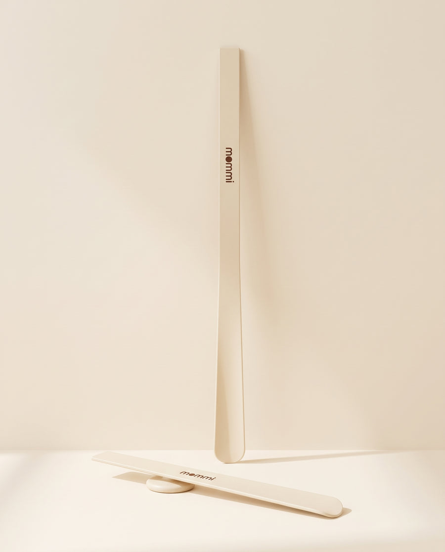 Long Handle Shoehorn